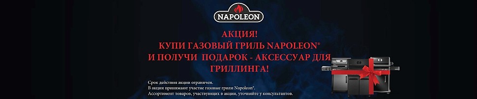 Газовые грили Bilex Napoleon в Сочи